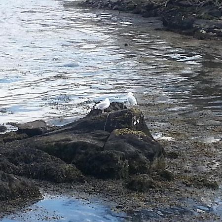 Ardmore House Kenmare Εξωτερικό φωτογραφία